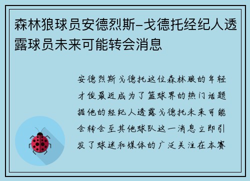 森林狼球员安德烈斯-戈德托经纪人透露球员未来可能转会消息